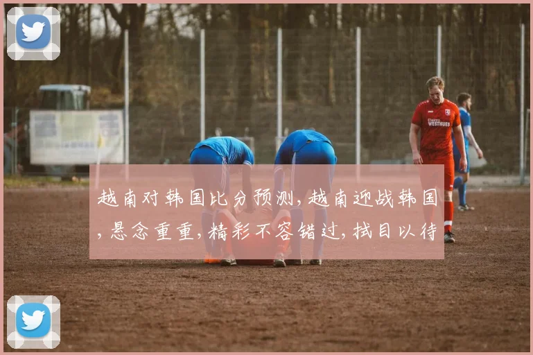 越南对韩国比分预测,越南迎战韩国,悬念重重,精彩不容错过,拭目以待