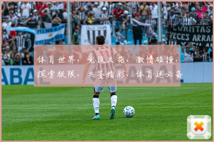 体育世界，竞技火花，激情碰撞，探索极限，共鉴精彩，体育迷必备手册
